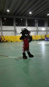 La mascotte del NBM